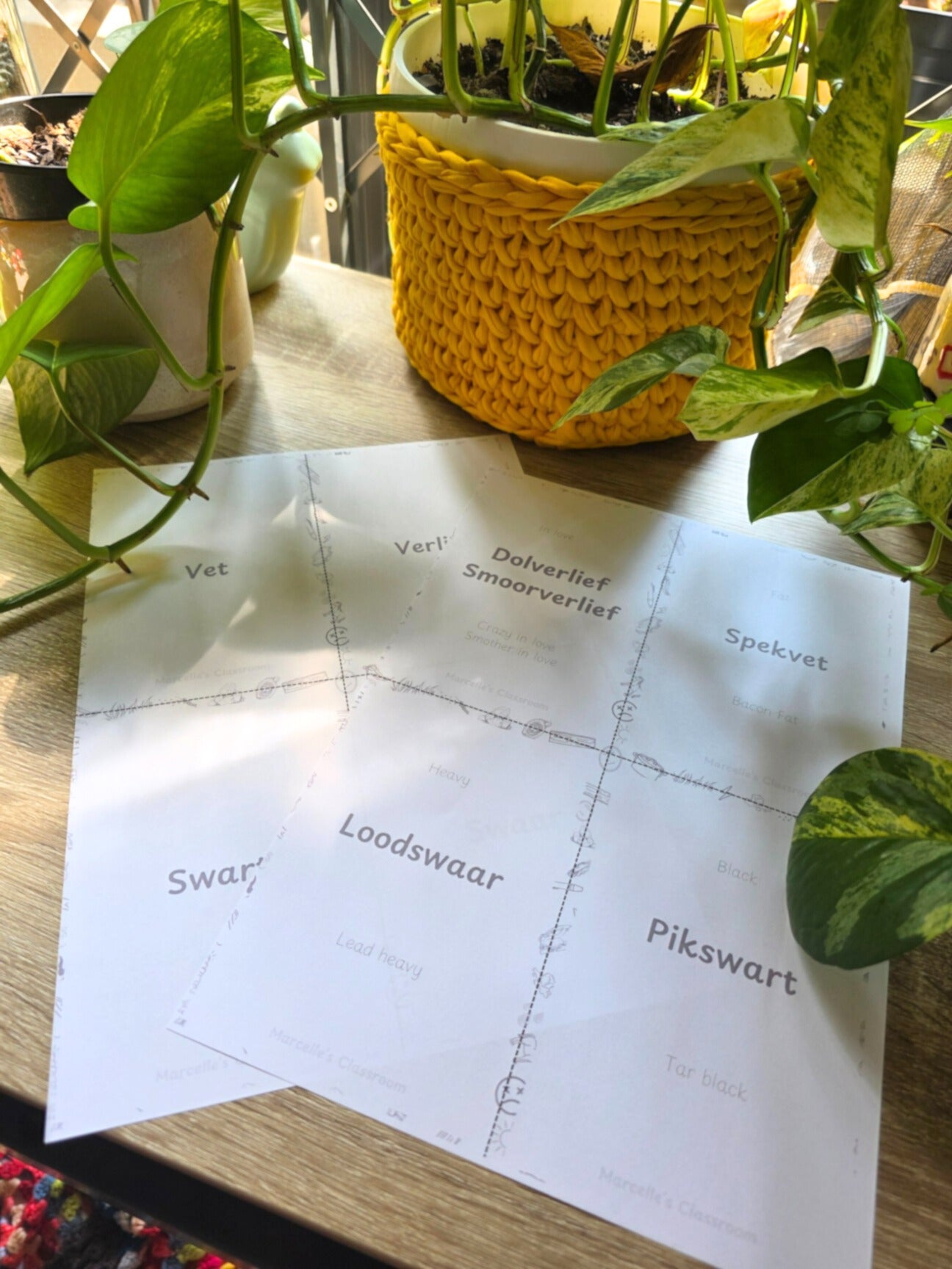 Afrikaans Intensiewe Vorme Flitskaarte