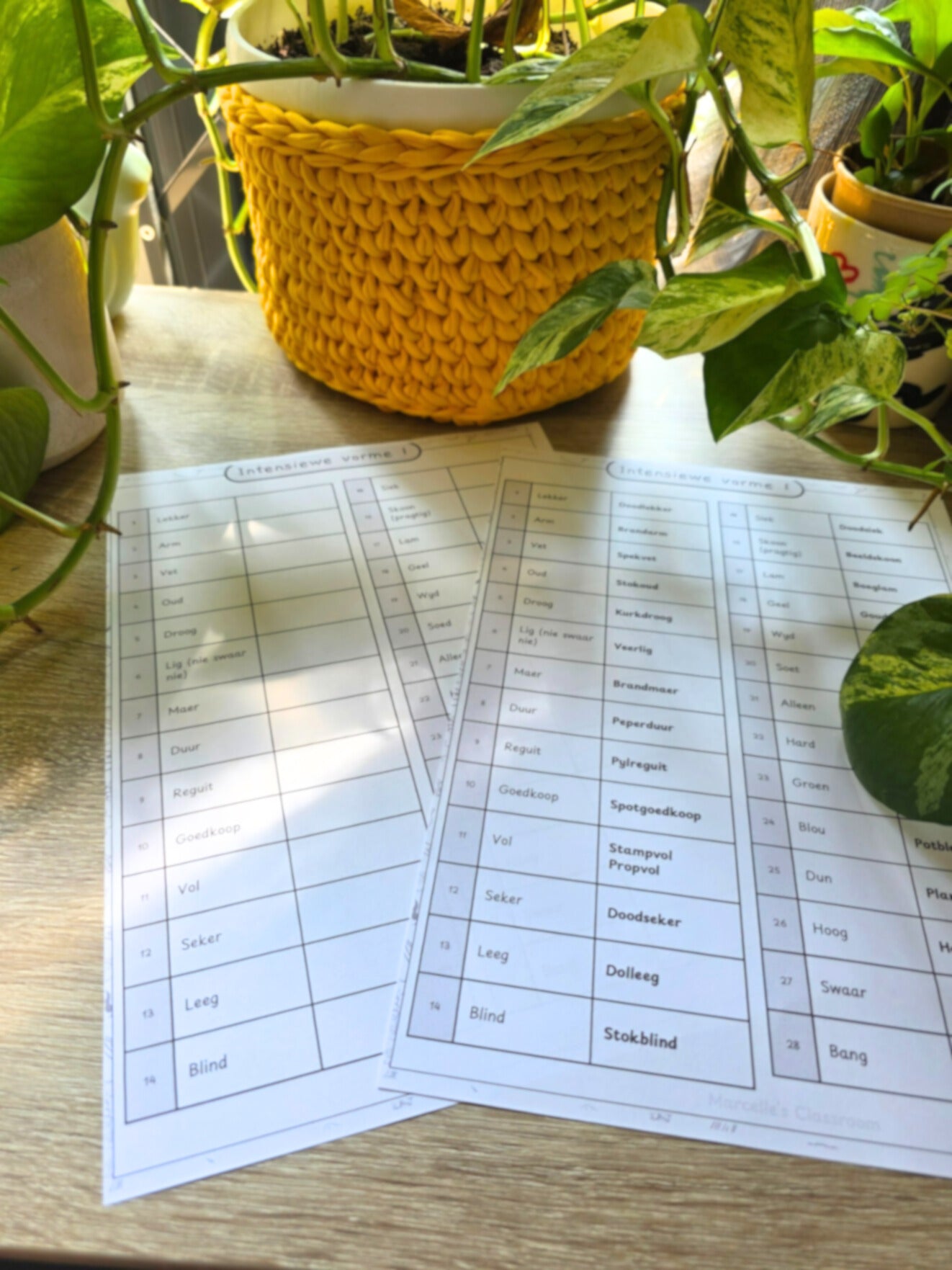 Afrikaans Intensiewe Vorme Werkkaarte